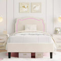 Acekool Bear-Shaped Velvet Twin Bed Frame with RGB Lighting, Adjustable Headboard, No Box Spring, Kids Platform