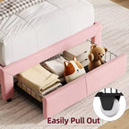 Cadre de lit jumeau Coolmee pour enfants, lit plateforme rembourré avec grand tiroir de rangement et tête de lit bibliothèque, lit pour garçons, silencieux, montage facile