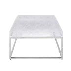 Chintaly Imports,Table Basse Carrée Contemporaine Plateau Acrylique & Piétement Acier