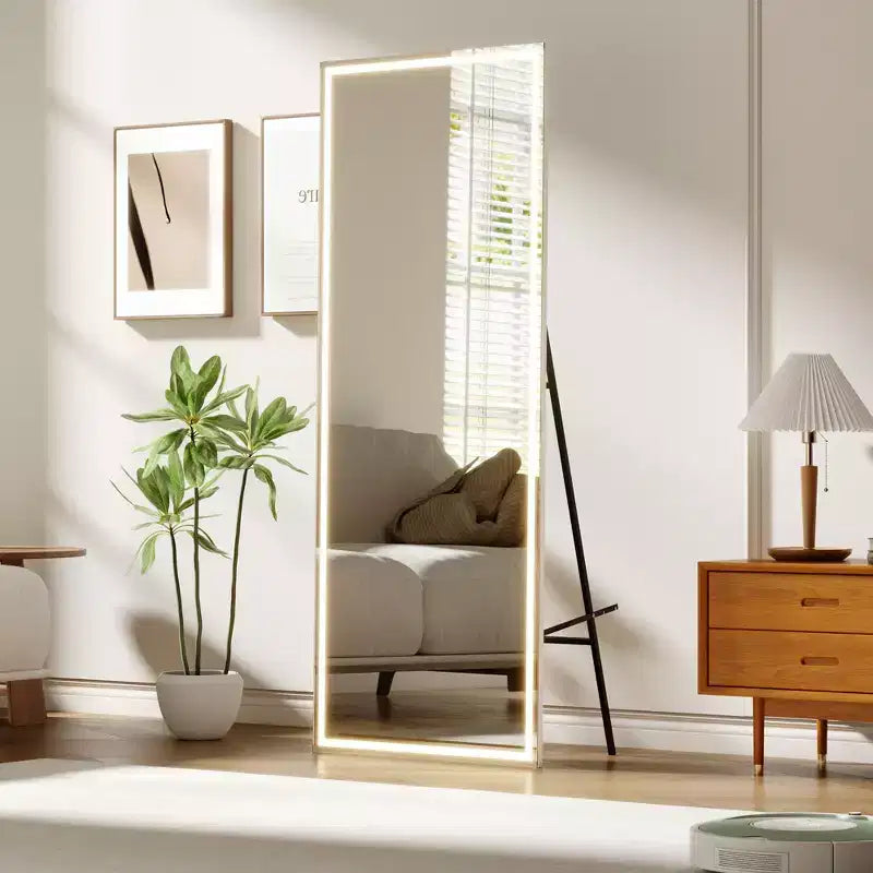 Miroir psyché arqué, Miroir psyché sur pied, Miroir inclinable sur pied avec support, Miroir mural, Grand miroir de dressing