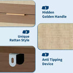 Commode Bohème à 5 Tiroirs, Coffre en Rotin et Bois avec Texture Naturelle pour Chambre à Coucher, Chambre d'Enfant ou Rangement de Salon