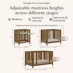 Lit de bébé évolutif 9-en-1 Babyletto Rolli avec berceau et kits de conversion pour lit de bambin