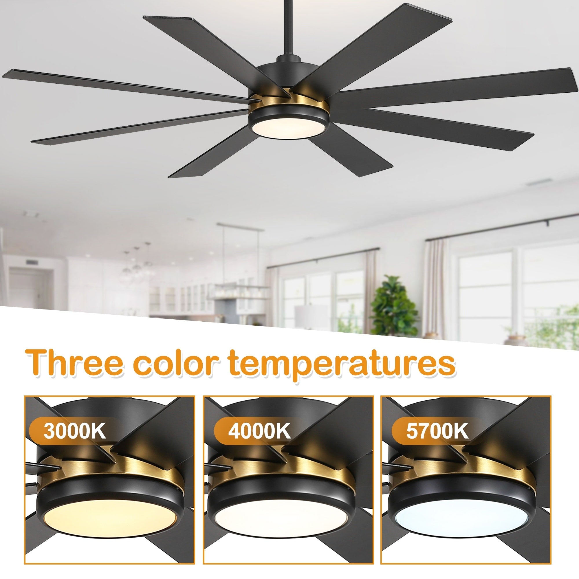 Ventilateur de plafond de 65 pouces à 8 pales noires avec lumière LED et télécommande
