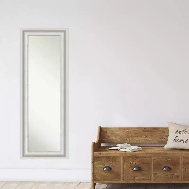 Miroir de porte pleine longueur encadré Amanti Art, 20 x 54, pour salon